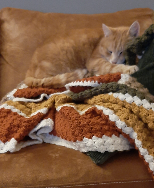 Mijn favoriete deken, een fijne om ook te kunnen delen!